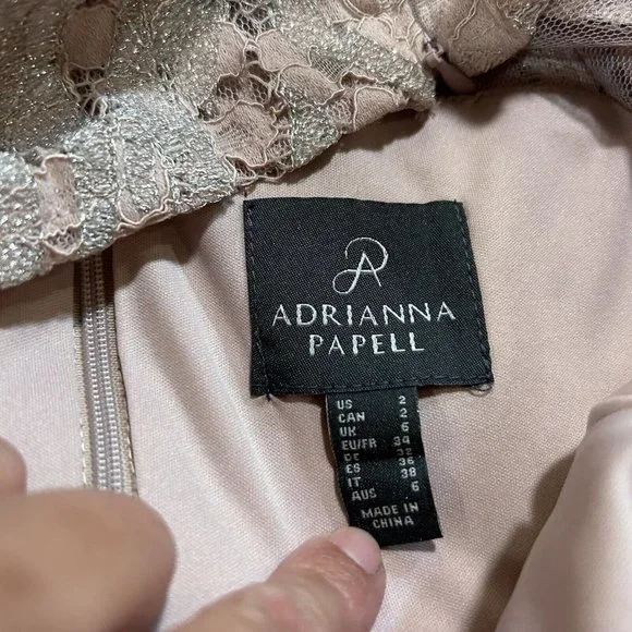 NWT Adrianna Papell Dusty Rose Embroidered Lace Popover Dress Size 2 NEW - Picture 11 of 15